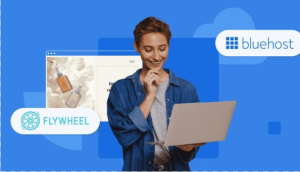BlueHost与FlyWheel两大WordPress主机对比评测